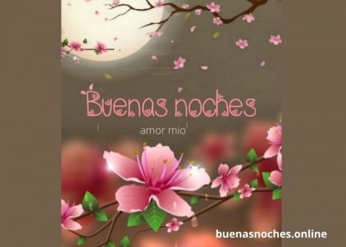 68 Imágenes Buenas Noches con Flores y Mensajes - Imágenes de Buenas Noches